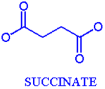 Chemical structure of succinate