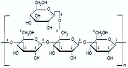 Chemical structure of a polysaccharide