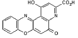 phenoxazine carboxylic acid