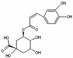 Chlorogenic Acid for Healthy Liver and Gallbladder Function