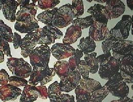Dried cornus fruit