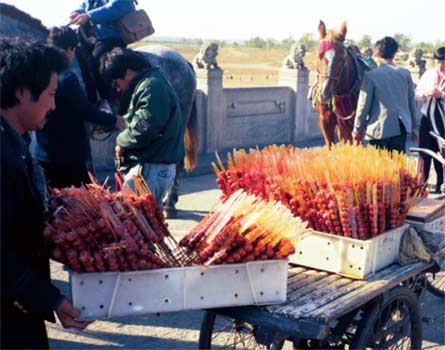 Distributor of hawthorn fruit spears to street sellers.