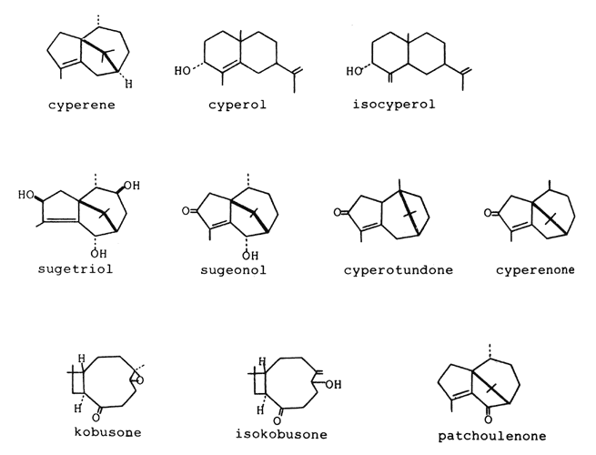Active constituents of cyperus