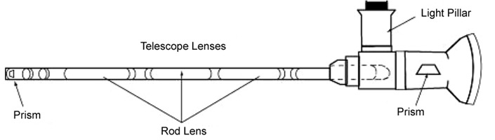Cytoscope