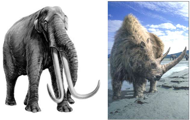 Elephant and wooly mammoth