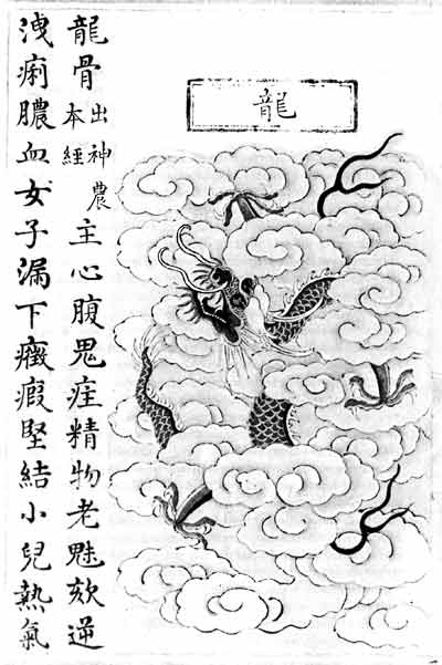 Illustration of the dragon as source of dragon bone
