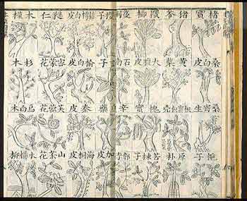 Cover and sample page of Wang Ang's Bencao Beiyao, an illustrated 1740 edition, volume 1 of 6 volumes.