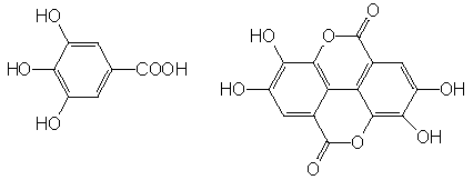Gallic acid (left) and Ellagic acid (right)