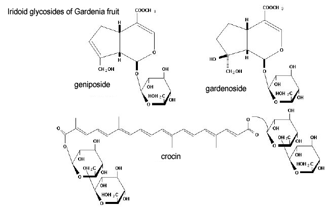 Iridoid glycosides of gardenia fruit