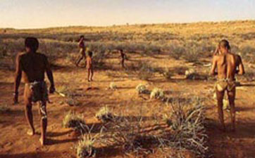 Photo of San Tribe members gathering foods