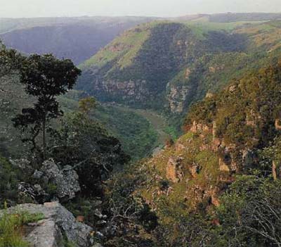 Panoramic view of Fynbos area