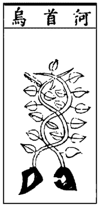 Early Rendering of Hou-shou-wu