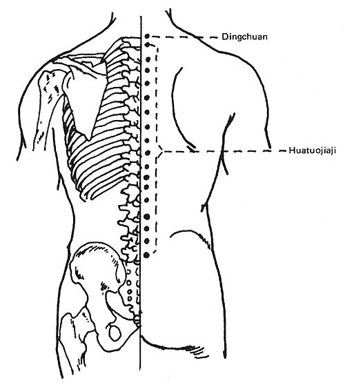 The Hua Tuo Jiaji points
