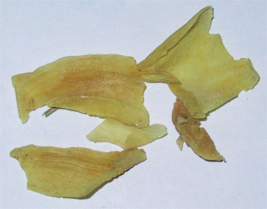 jineijin, the inner lining of the chicken gizzard