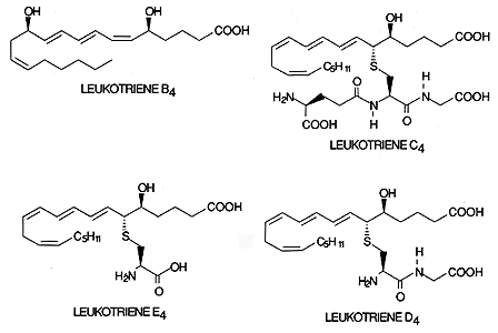 Leukotrienes
