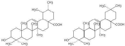 Ursolic Acid (left), Oleanolic Acid (right)