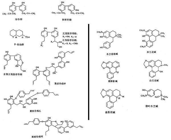 Structure diagrams of magnolia bark active constituents