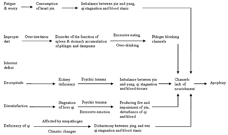 Diagram of the factors causing ischemic stroke