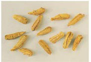 Statilia maculata egg case