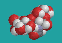 A 3D representation of the building block of chondroitin