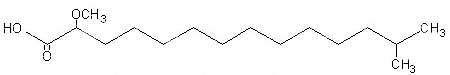 Sample branched chain fatty acid found in sea organisms.