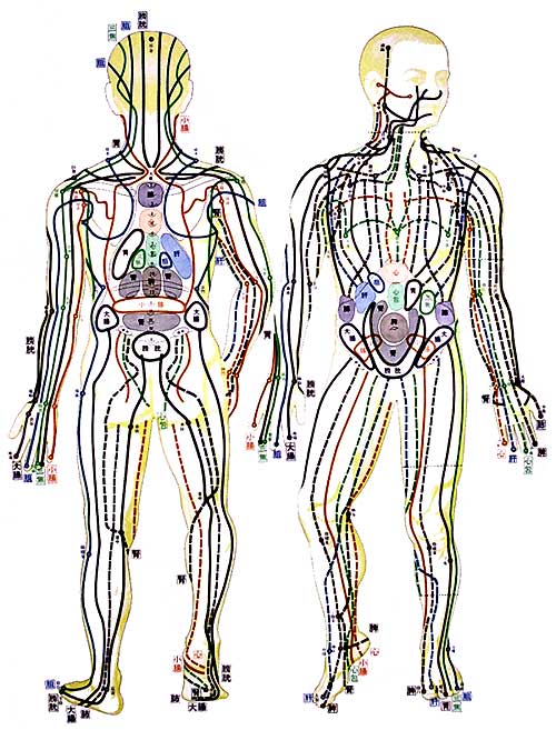 Masaje japones zen shiatsu deals