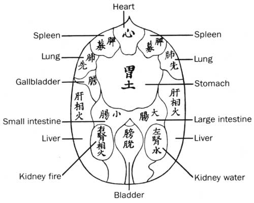 Hara diagnosis chart based on Mubunsai's text of 1685