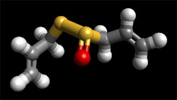Structure of allicin