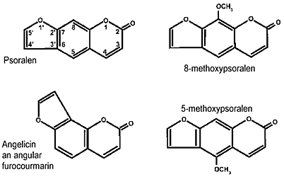 Psoralens