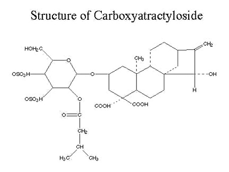 Chemical structure of carboxyatractyloside