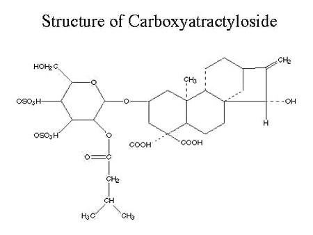 Chemical structure of carboxyatractyloside