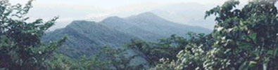 The low mountains 50 miles from Changchung, rich in natural resources