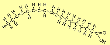 Alpha-linolenic acid (omega-3 fatty acid)