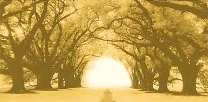 The golden path