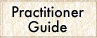 Practitioner Guide