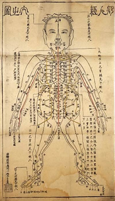 A traditional acupuncture chart from the Wellcome Trust in London